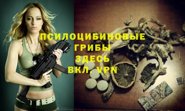 таблы Алексеевка